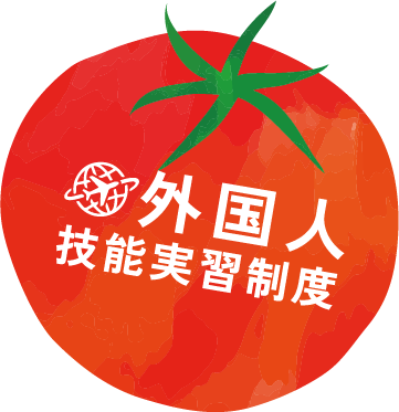 外国人技能実習制度